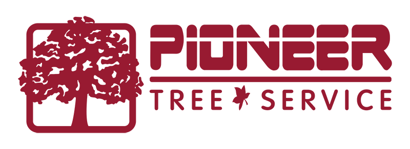 Pioneer Tree Service Logo